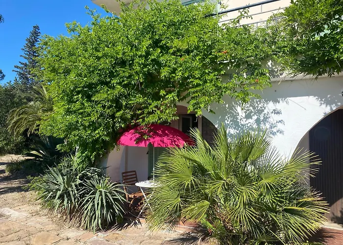 Chez Madou, T1 En Bas De Et Rez De Jardin A 900m De La Et Des Commerces Διαμέρισμα